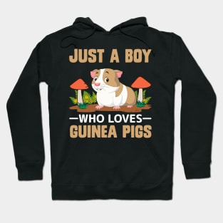 Just A boy Who Loves Guinea Pigs funny pig Hoodie